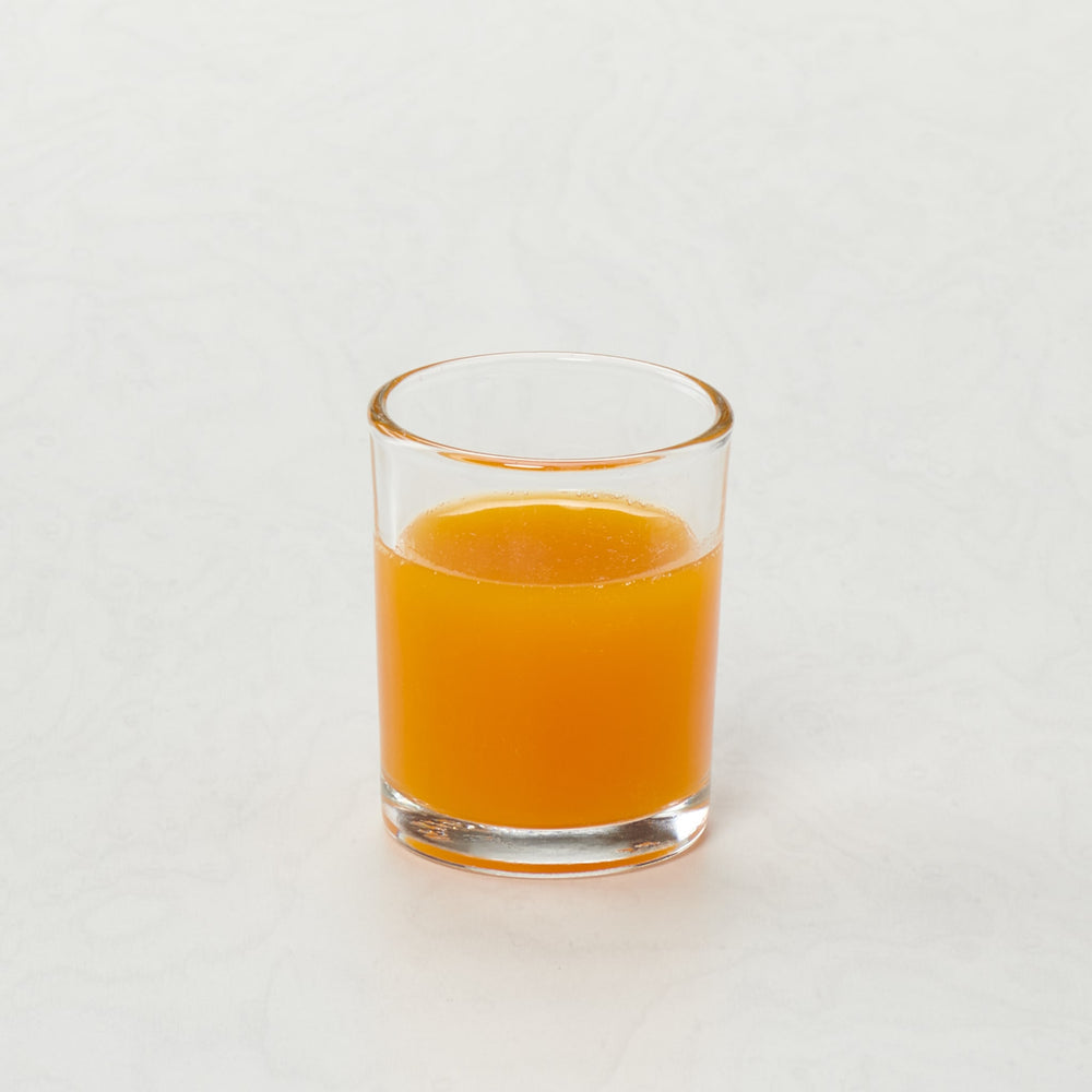 Mango Fruit Puree Beverage Mix - 12 x 1 Ltr