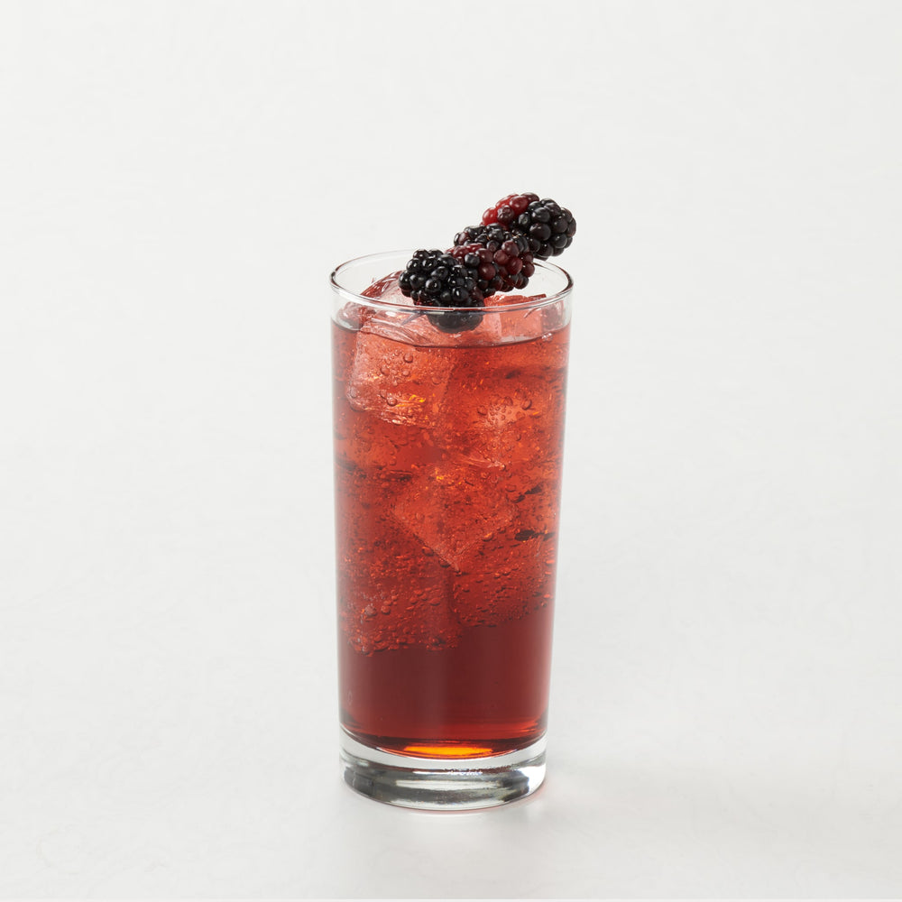 Classic Blackberry Syrup - 4 x 750 ml Plastic