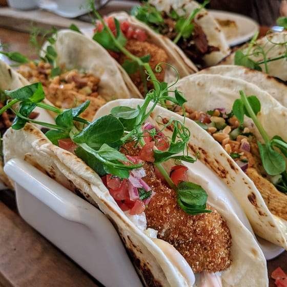 Golden Dipt Southern Sweet Chicken Taco Tenders