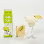 Frozen Sour Mix Frozen Beverage Mix - 12 x 32 oz