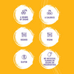 Sugar Free Chai Concentrate - 6 x 32 fl oz