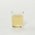 Mojito Frozen Beverage Mix - 12 x 32 oz