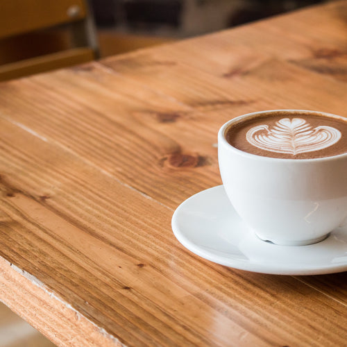 Turtle Bar Mocha