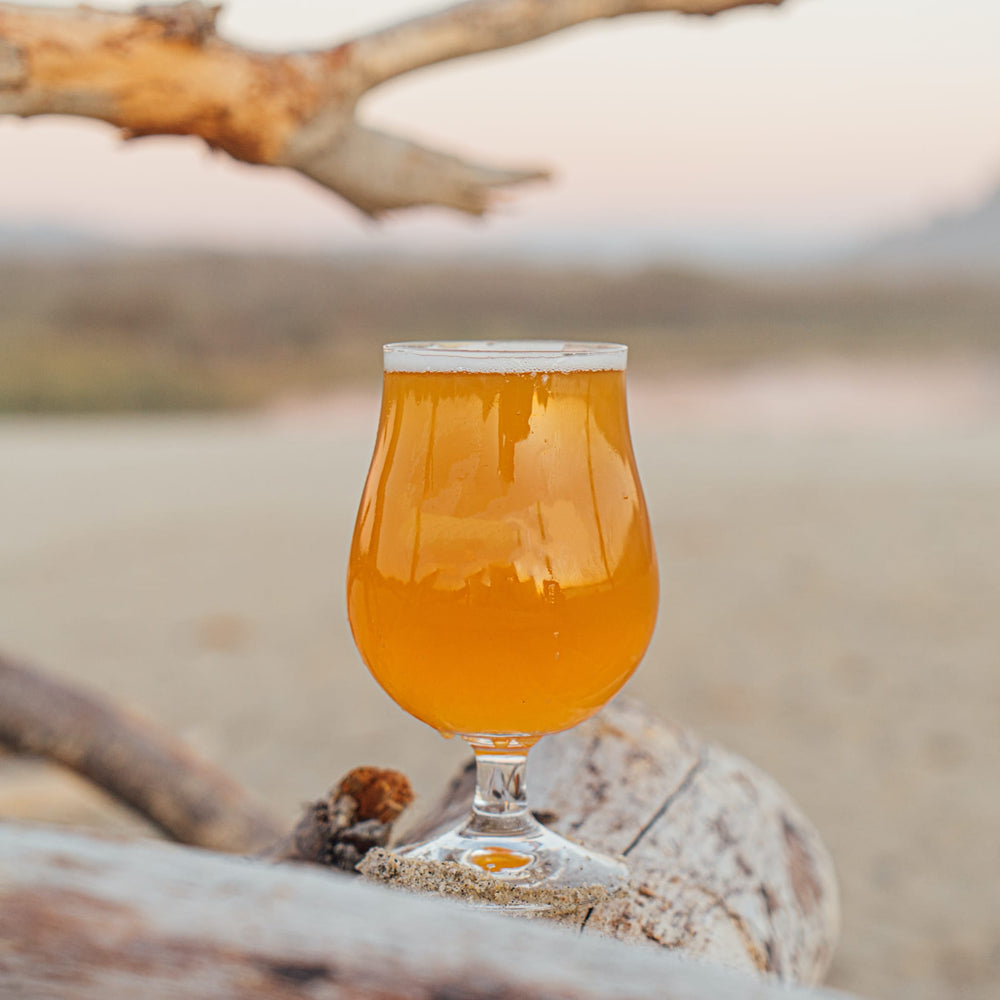Habanero Cerveza
