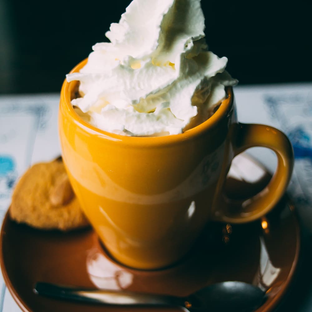  Vanilla Whipped Cream